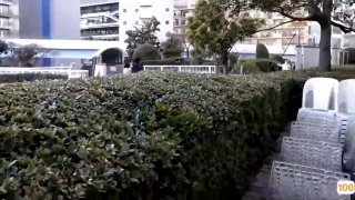 波多野结衣连续高潮中出🔞🔯重生萌妻:狼性总裁狠狠爱🔞🔯大尺度一夜情情视频🔞🔯